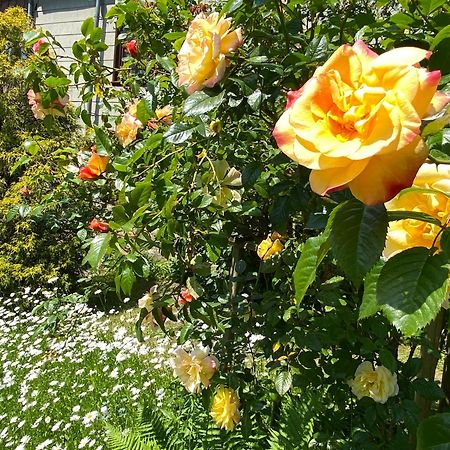 Reisekultouren Apartments Detmold Luaran gambar